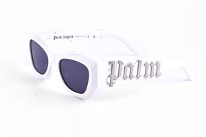 Palm Angels Canby Unisex Güneş Gözlüğü 0107