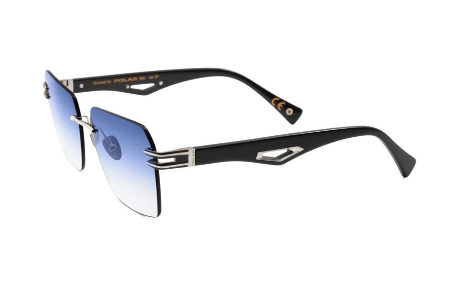 Polar Gold 6000 Unisex Güneş Gözlüğü 48Q