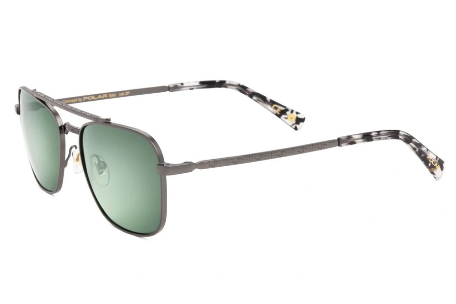Polar Gold Hayden Unisex Güneş Gözlüğü 48G