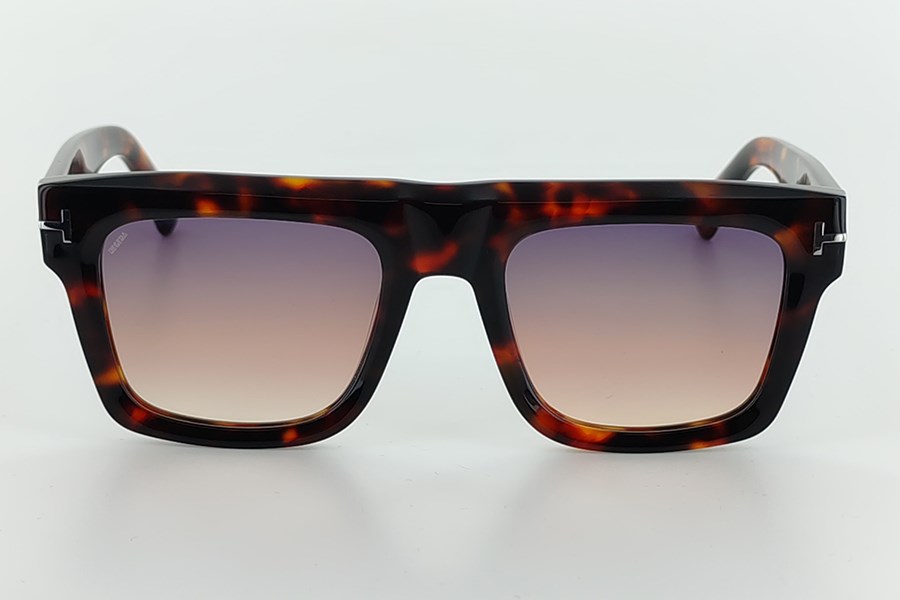 Regera TF Unisex Güneş Gözlüğü C2